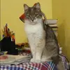 Отзыв от Маргарита Носкова